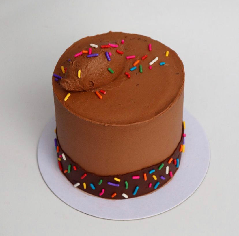 Chocolate Sprinkle Cake