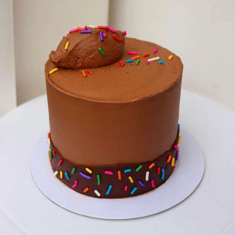 Chocolate Sprinkle Cake – Flour Baby Bakery