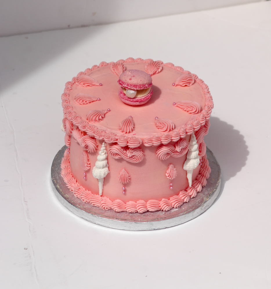 Macaron Shellebration Cake