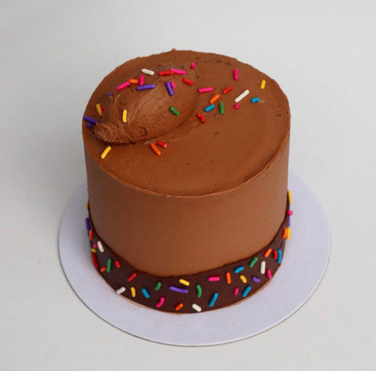 Chocolate Sprinkle Cake